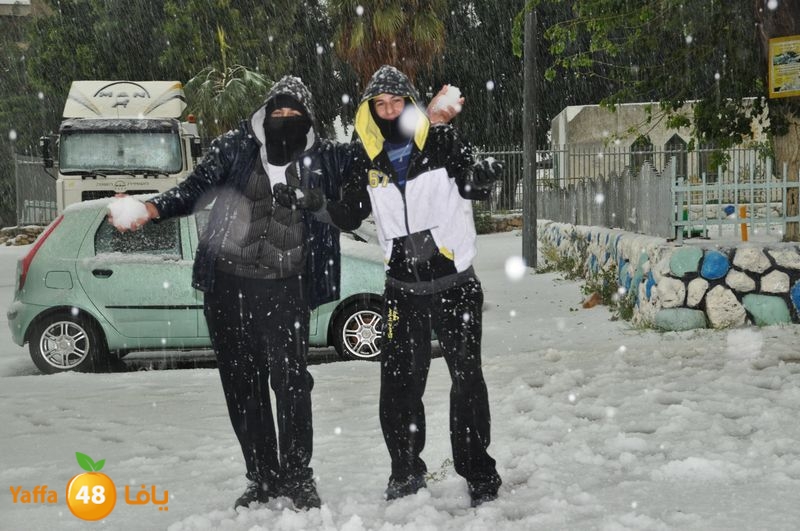 iceman lud 1213 (40).JPG